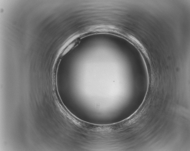 X0000060241384200510311511