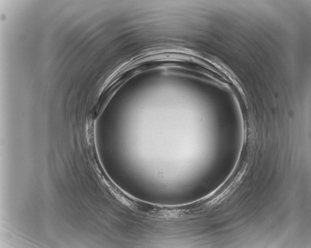 X0000060241385200510311511