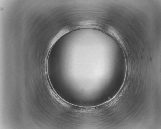 X0000060241386200510311511