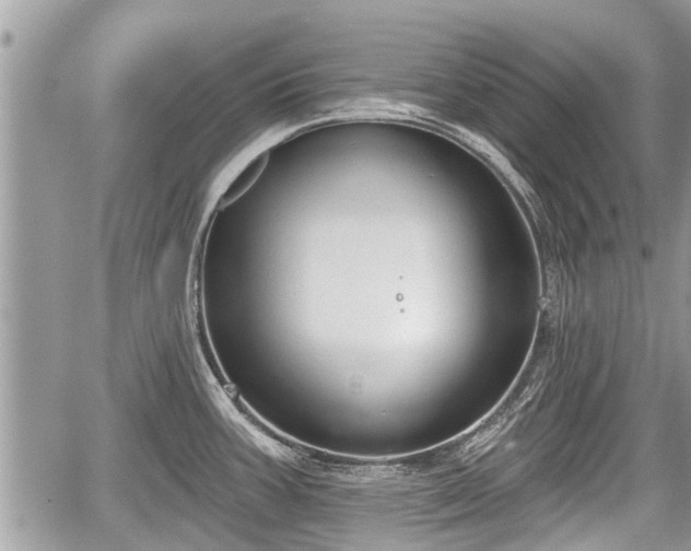 X0000060241387200510311511