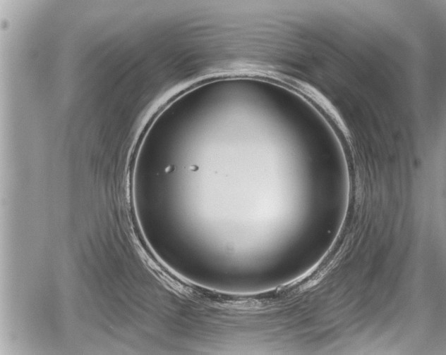 X0000060241388200510311511