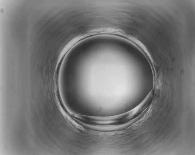 X0000060241389200510311510