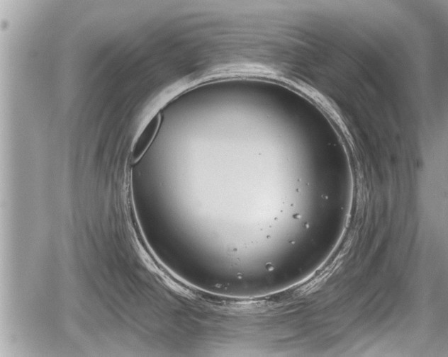 X0000060241390200510311510