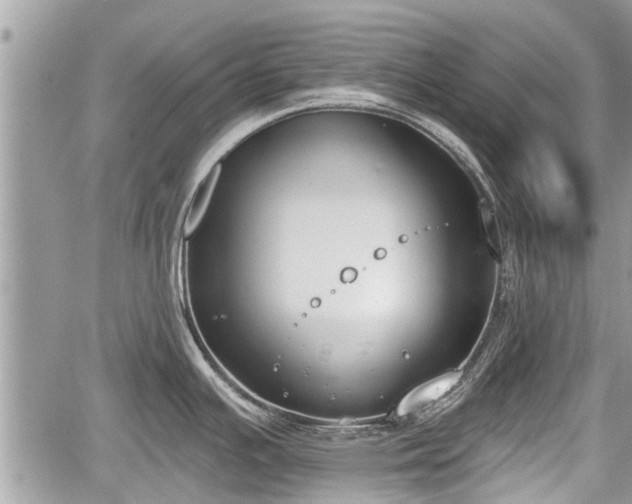 X0000060241391200510311510