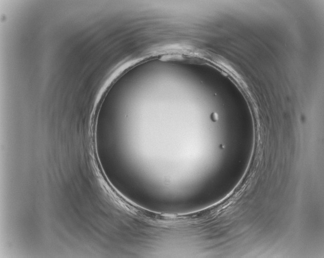 X0000060241392200510311510