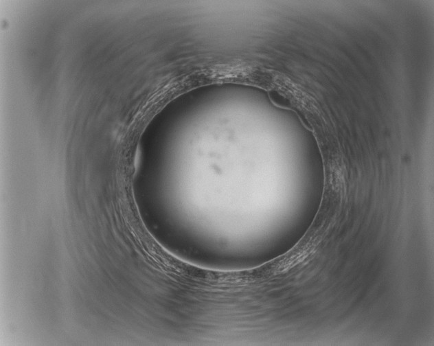 X0000060241393200510311510