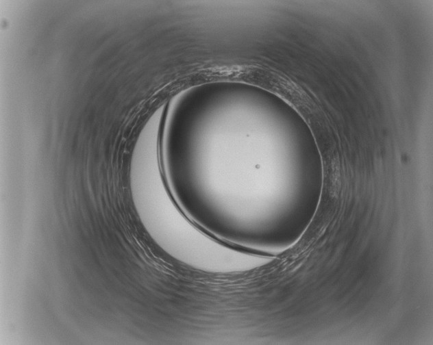 X0000060241394200510311510