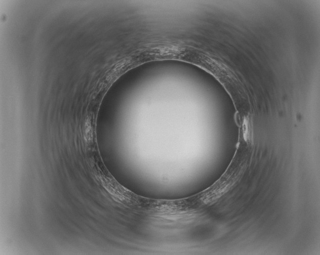 X0000060241395200510311510