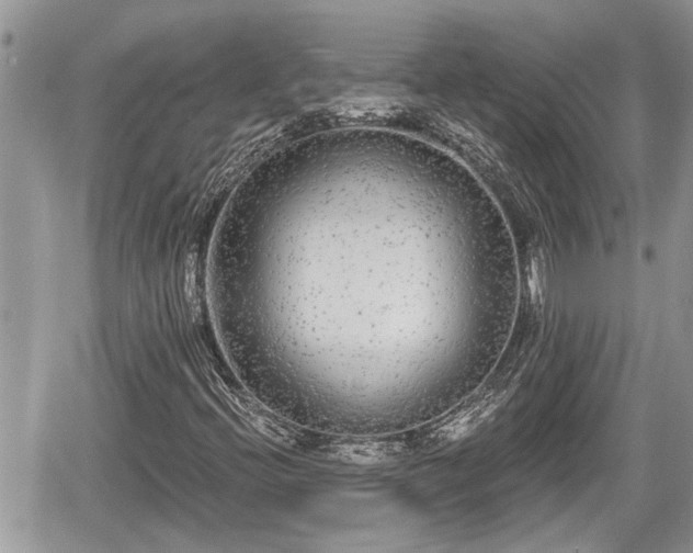 X0000060241396200510311510