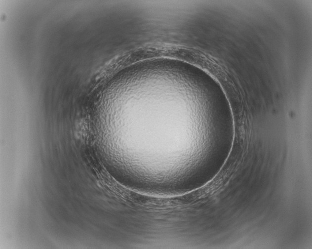 X0000060241397200510311510