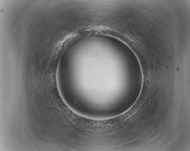 X0000060241398200510311510