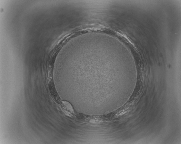 X0000060241399200510311510