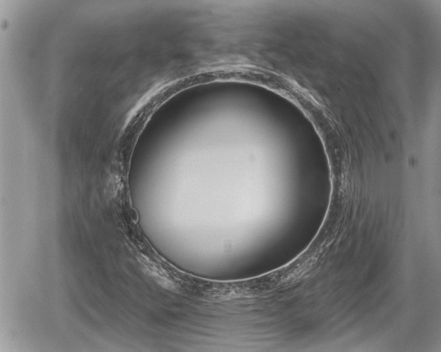 X0000060241400200510311510