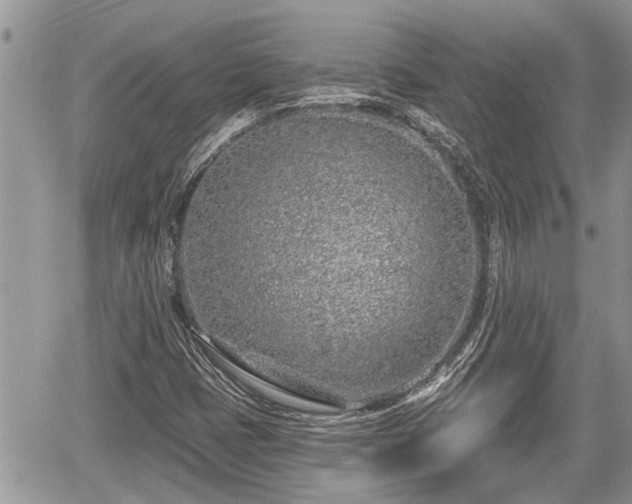 X0000060241401200510311510