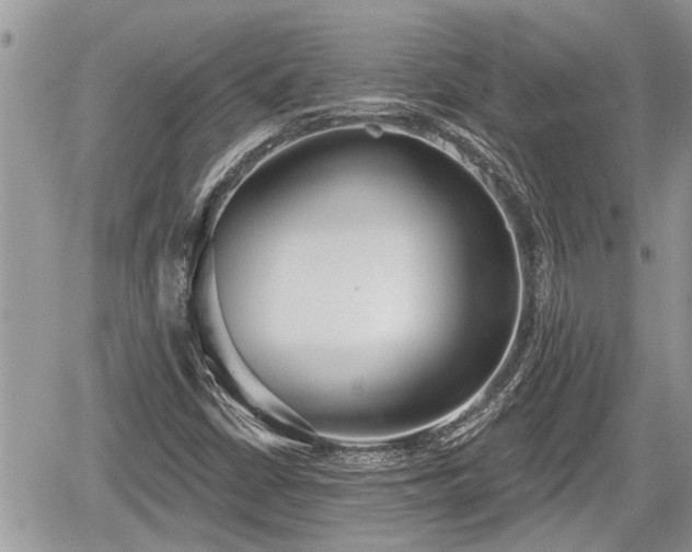 X0000060241402200510311510