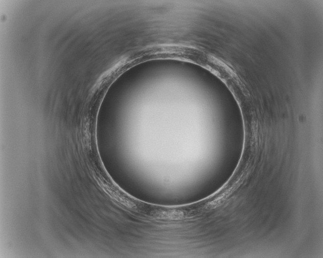 X0000060241403200510311510