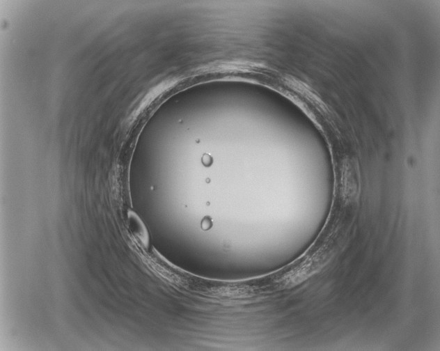 X0000060241404200510311510