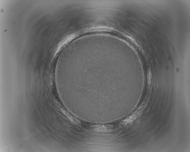 X0000060241405200510311510