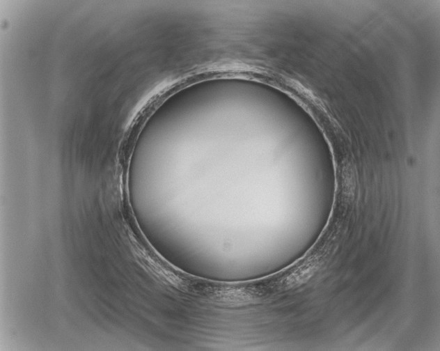 X0000060241408200510311510