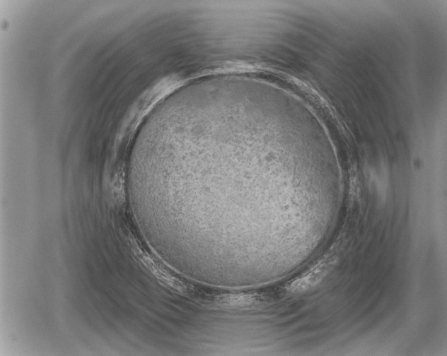 X0000060241409200510311510