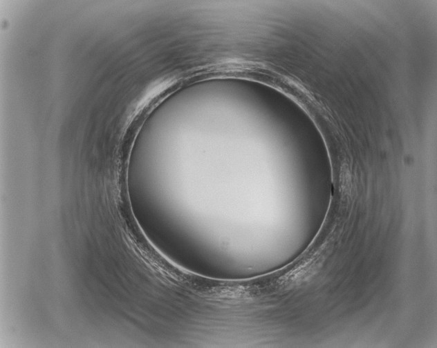 X0000060241410200510311510