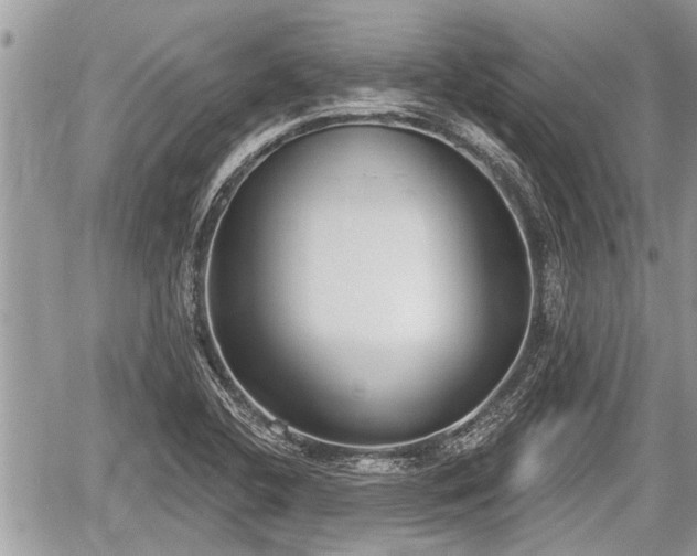 X0000060241412200510311510