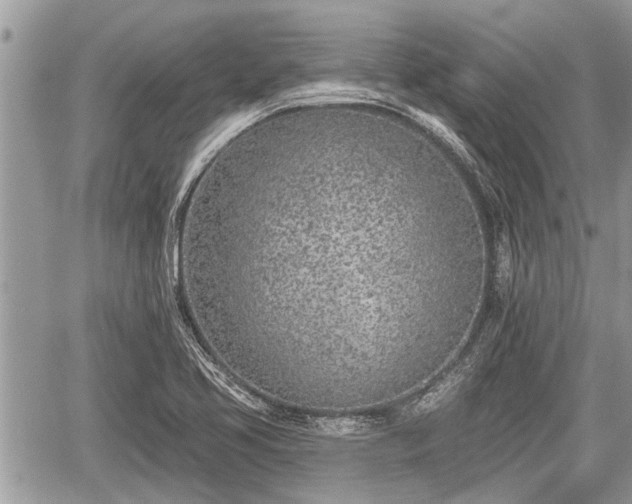 X0000060241413200510311510