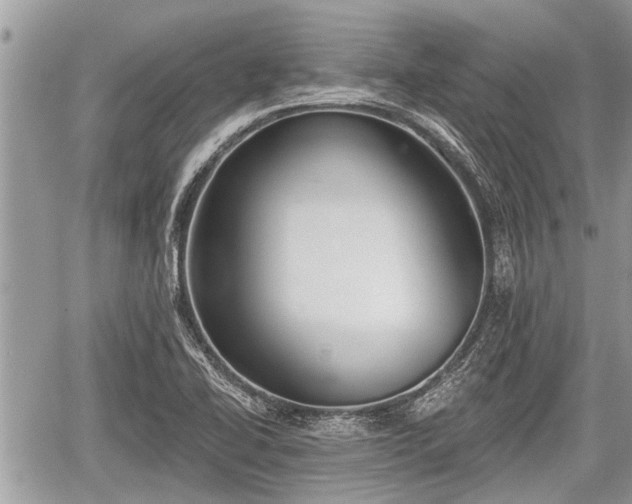 X0000060241414200510311510