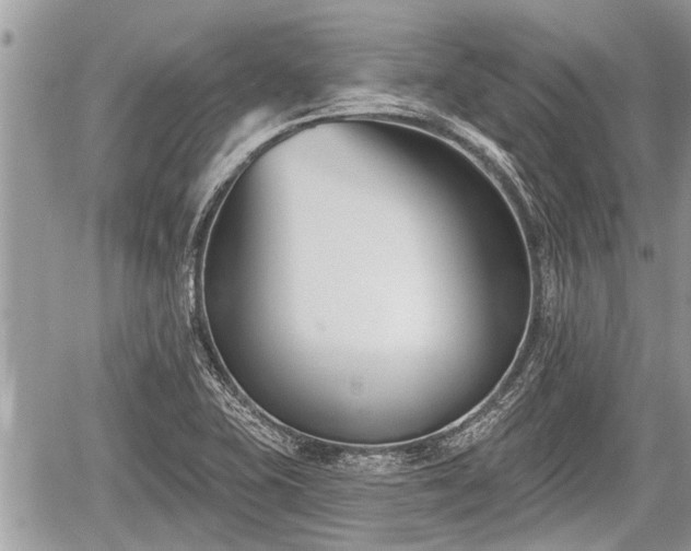 X0000060241415200510311510