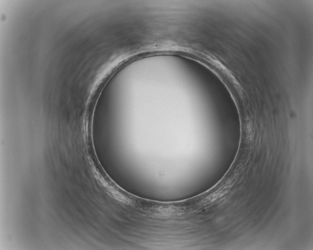 X0000060241416200510311510