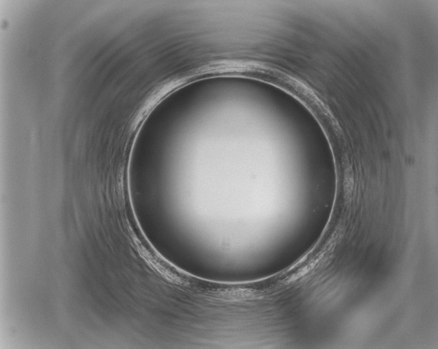 X0000060241417200510311510