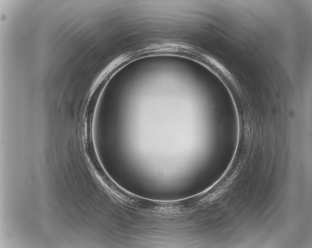 X0000060241418200510311510