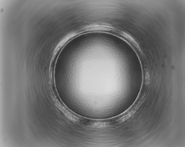 X0000060241419200510311510