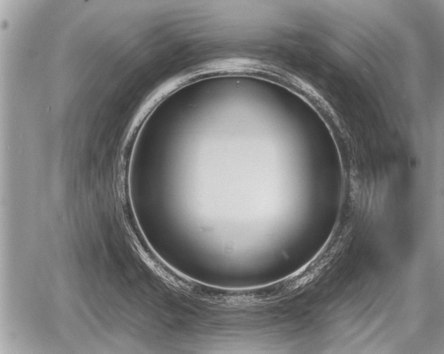 X0000060241421200510311510