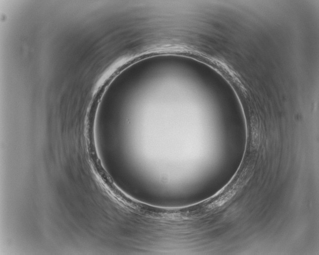 X0000060241422200510311510