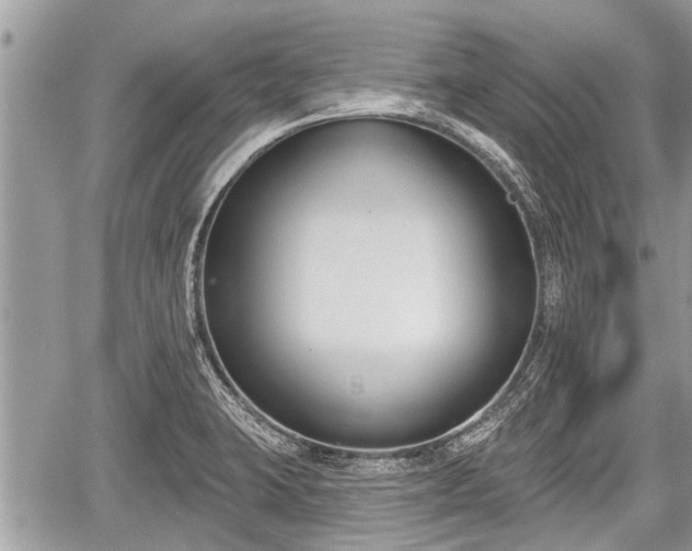 X0000060241423200510311510