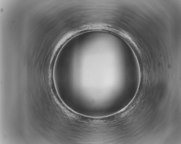 X0000060241424200510311510