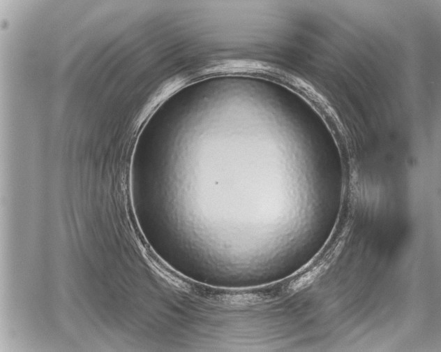 X0000060241425200510311510