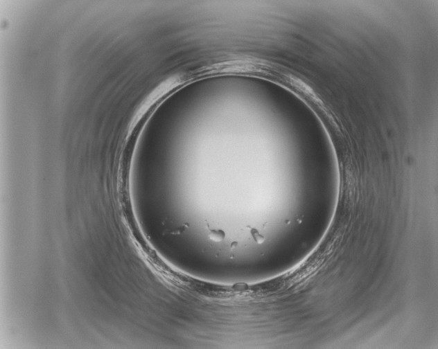 X0000060241426200510311510