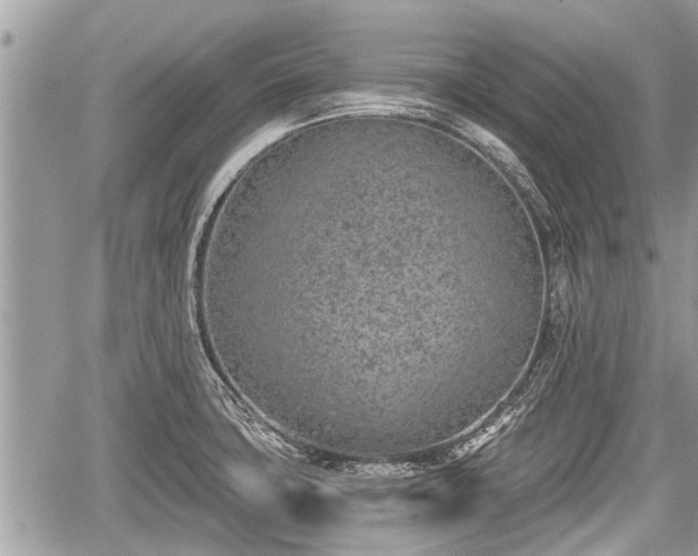 X0000060241427200510311510