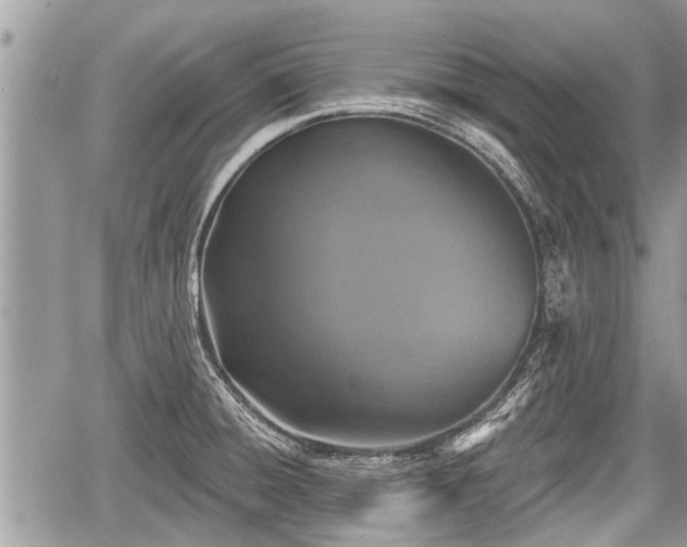 X0000060241428200510311510