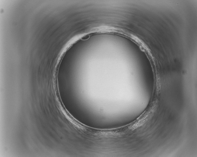 X0000060241429200510311510