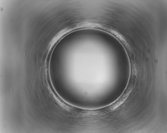 X0000060241430200510311510