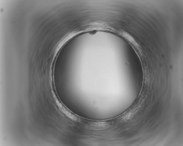 X0000060241431200510311510