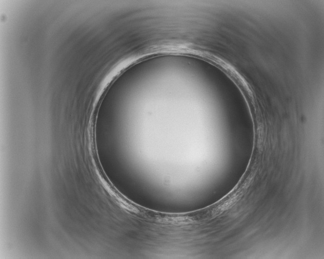 X0000060241432200510311510