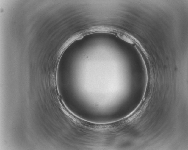 X0000060241433200510311510