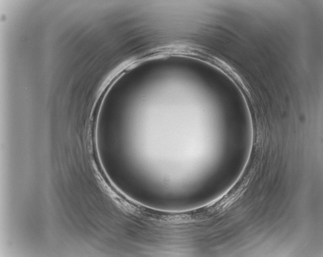 X0000060241434200510311510