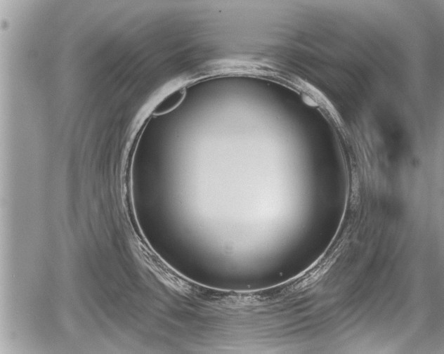 X0000060241435200510311510