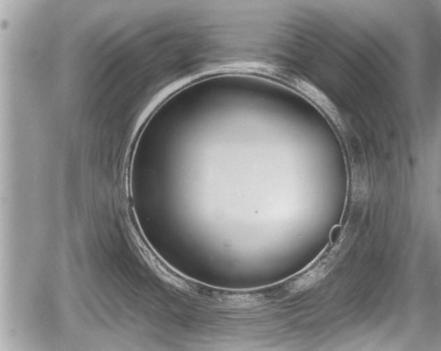 X0000060241436200510311510