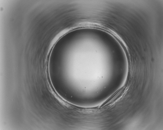 X0000060241437200510311510